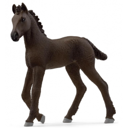 Friesian foal 13977
