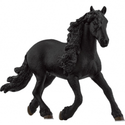 Friesian stallion horse 13975