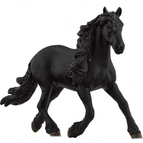 Arab Stallion Horse 13907