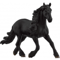 Friesian stallion horse 13975