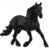 Friesian stallion horse 13975