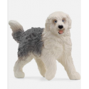 Perro Bobtail 13968