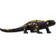 Salamander 14870