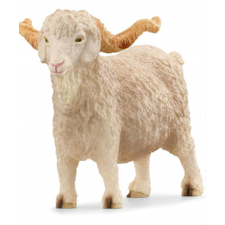Goat angora (13970)