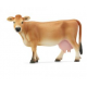 Vaca Jersey (13967)