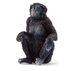 Proboscis monkey 14846