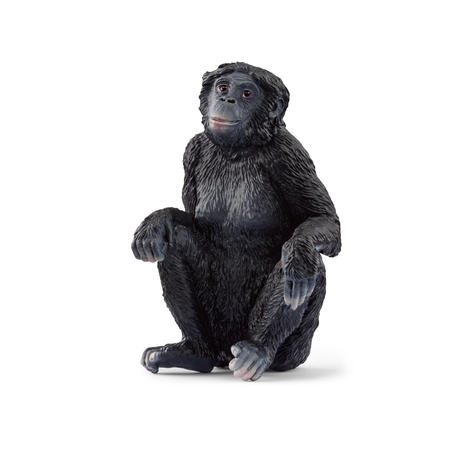 Proboscis monkey 14846