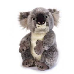 Koala stuffed around 32 cm