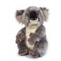 Koala stuffed around 32 cm