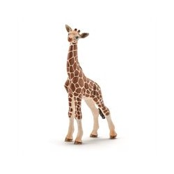 Cria Girafa 14751