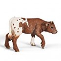 Texas calf (146647)