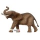 Elefante Africano 147621
