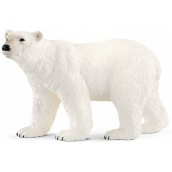 Polar Bear 14800