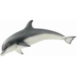 Dolphin 14808