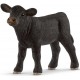 Calf 137981