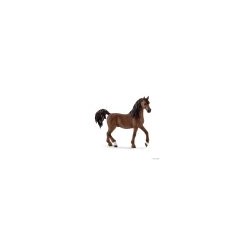 Arab Stallion Horse 13811