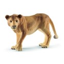 Lioness 14825