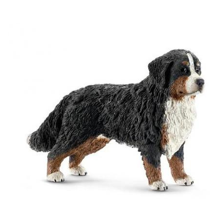 Perro de montaña Bernes